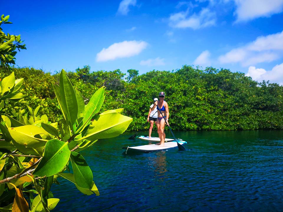 Expedition cenote gallery